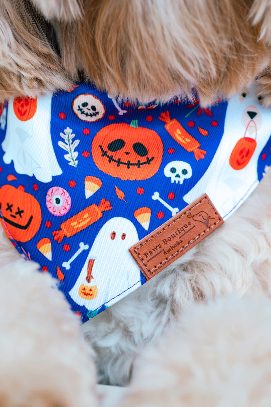 Boo-tiful Pooch