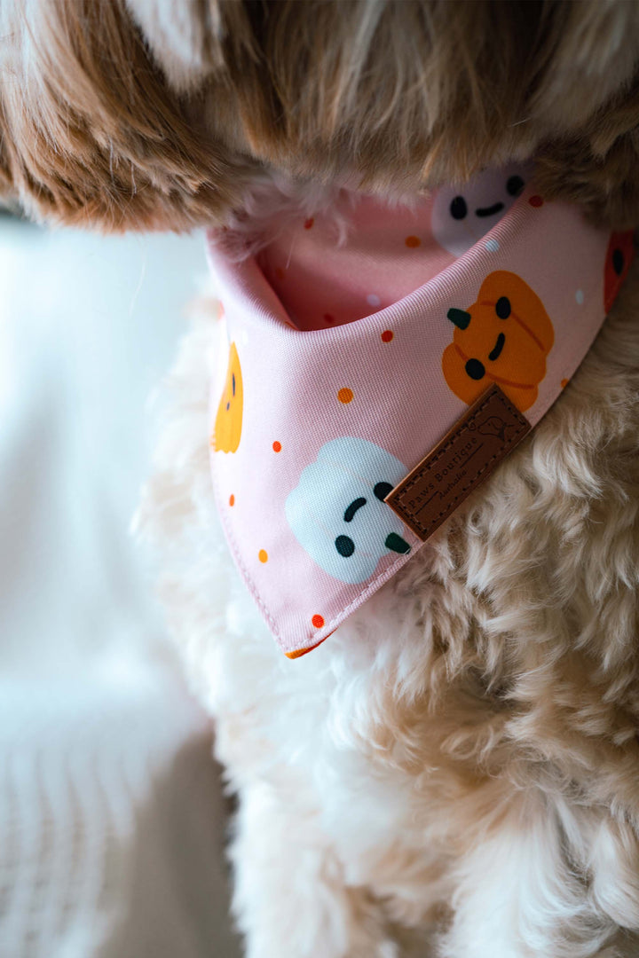 Pumpkin Pupkins