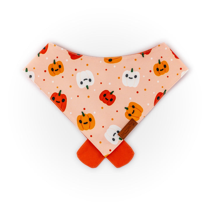 Pumpkin Pupkins