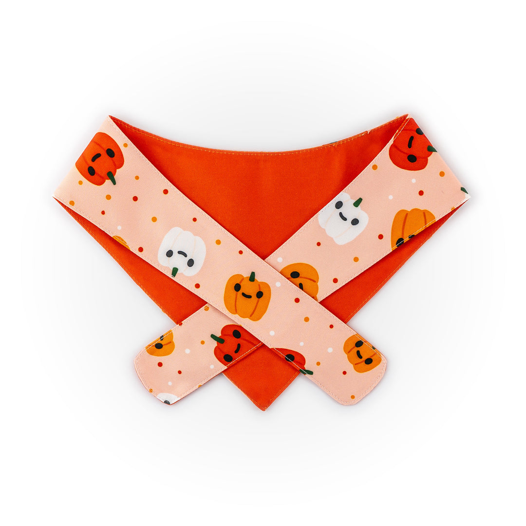 Pumpkin Pupkins